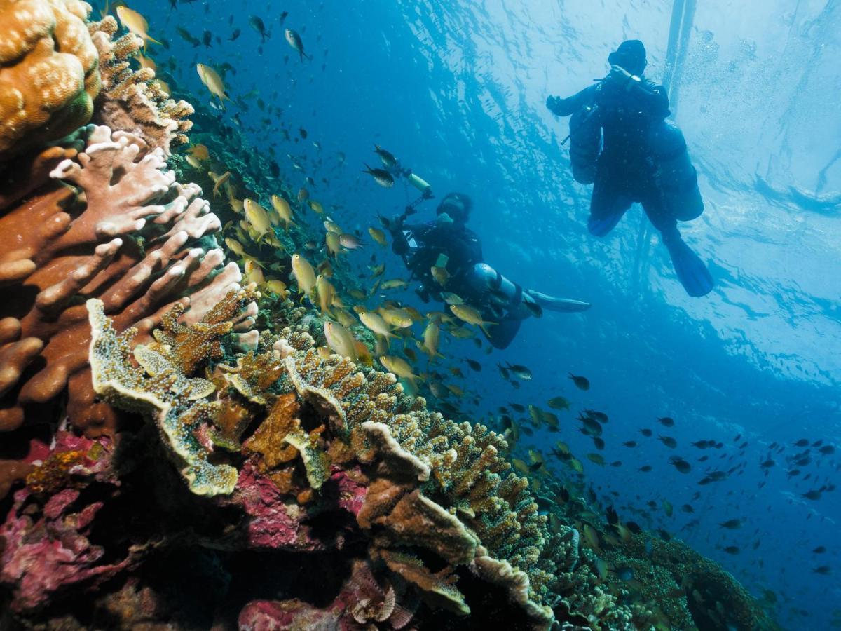 Cebu Seaview Dive Resort موالبوال المظهر الخارجي الصورة